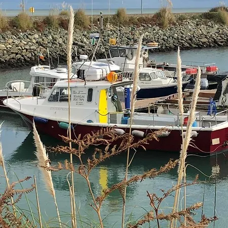 Bluebell * Kilmore Quay