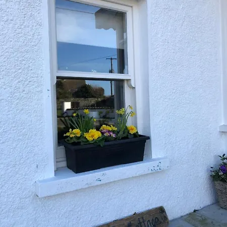 Bluebell بيت للعطل