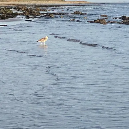 بيت للعطل Bluebell