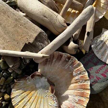 Bluebell Casa de Férias Kilmore Quay