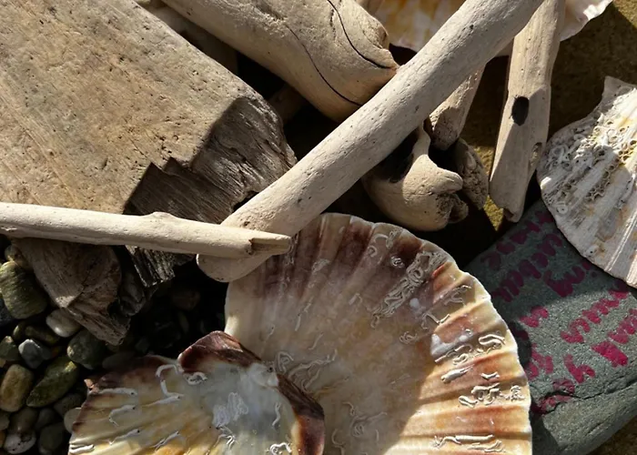 Bluebell Σπίτι διακοπών Kilmore Quay